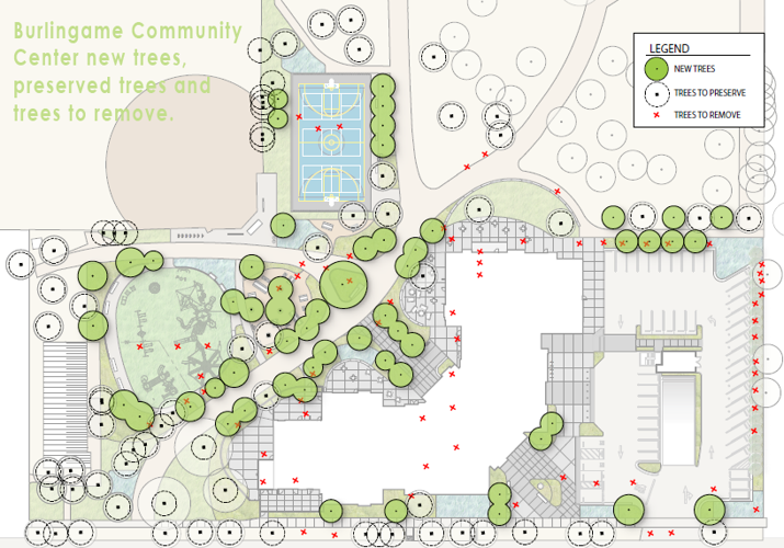 Combined Tree Map - Protect, Remove, Plant.PNG