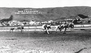 Bayshore City was built for the dogs