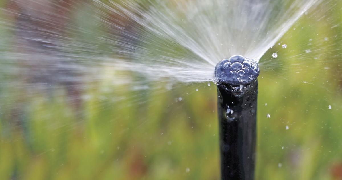 Water guidelines in works for San Mateo, South San Francisco and San Carlos residents | Native Information Water guidelines in works for San Mateo, South San Francisco and San Carlos residents | Native Information
