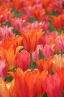 Museum gotta see ‘um