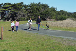 California Coastal Trail restoration gains support: Half Moon Bay, counties, state nominate regional segment as Priority Conservation Area
