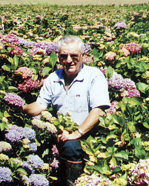 Vincent James (Jim) Cozzolino