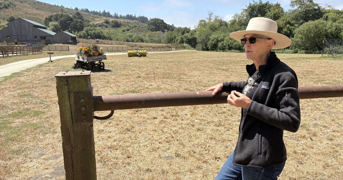 Tom Steyer-owned TomKat Ranch in Pescadero tests regenerative ranching methods