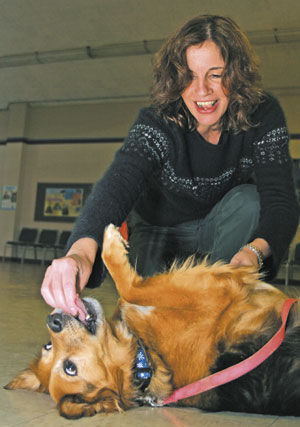 Old dogs are learning some new tricks