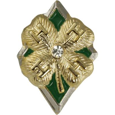 4-H Diamond Clover Award