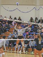 College of San Mateo Bulldogs show their bite