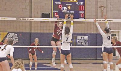 SHP volleyball: Radeff