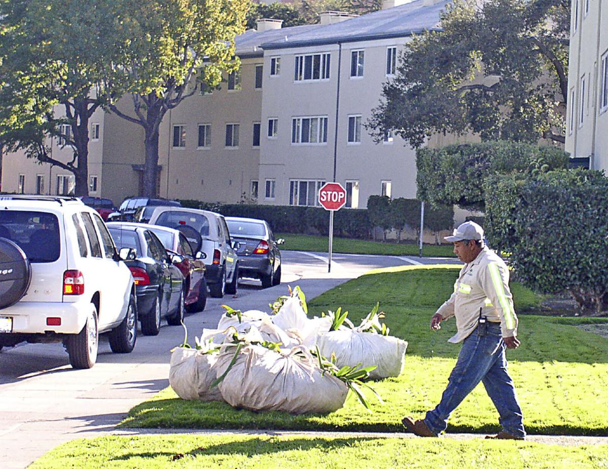 San Mateo’s Hillsdale Garden will be belowmarket rate housing Local