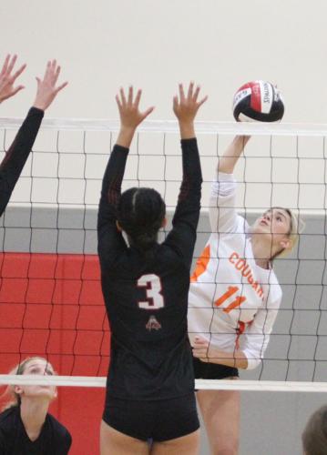 Half Moon Bay volleyball: Kayla Andrew
