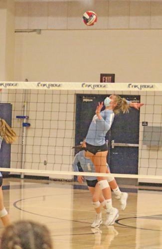 Hillsdale volleyball: Victoria Vanos