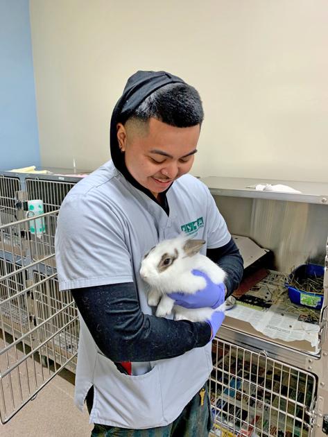 Animal Adoptions Up Local News Smdailyjournal Com