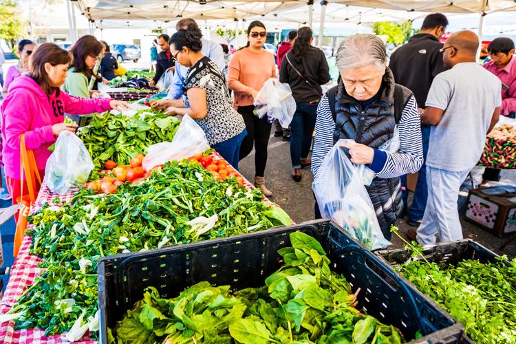 Foster City Certified Farmers’ Market