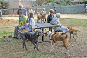Dog park unleashed: San Carlos City Hall site for new doggie playland