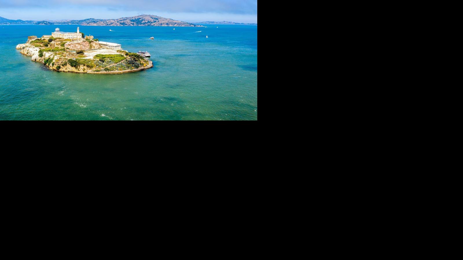 Male coyote swam 2 miles to Alcatraz Island, twice as far as biologists had expected
