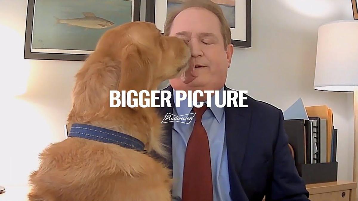 Bigger Picture Budweiser Super Bowl Commercial Smdailyjournal Com