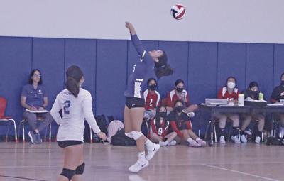 Nueva volleyball Emma Zhao