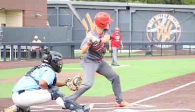 El Camino baseball: Carlos Alcala