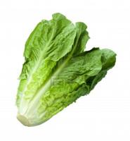 Romaine calm: Restaurants calm customers, say lettuce safe