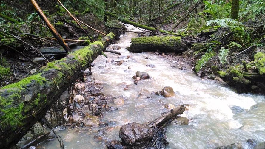 Bear Creek Redwoods Open Space Preserve