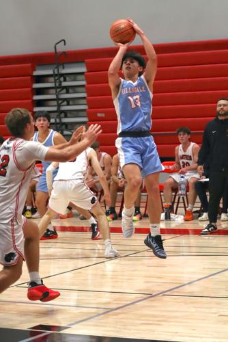 Hillsdale basketball: Freeman Lane