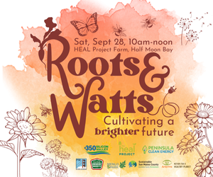 Roots & Watts SMDJ (300 x 250 px).png