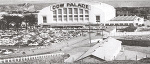 Cows and the Cow Palace