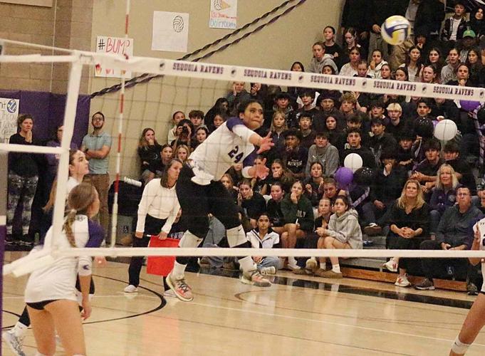 Sequoia volleyball: Katalina Tuipulotu