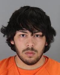 Two arrested for downtown San Mateo garbage can fires