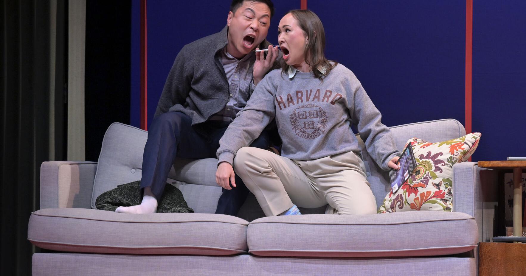 TheatreWorks presents satire, 'Tiger Style!' | Arts & Entertainment - Vimarsana News