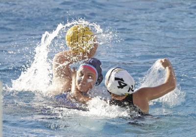 HIllsdale polo: Jarrett