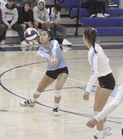 Hillsdale volleyball into CCS semis