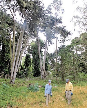 Coastside history uncovered: Nonprofit awarded Purissima property