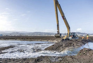 Levee breach returns tides to inner Bair Island: Project converts former salt pond to natural wetlands