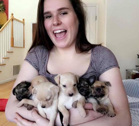 six puppies and Jenn Walsh