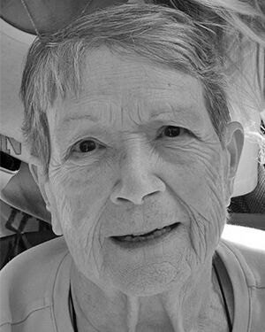 Sandra (Sandy) Lee Johnson Photo