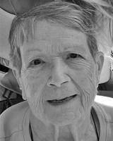 Sandra (Sandy) Lee Johnson