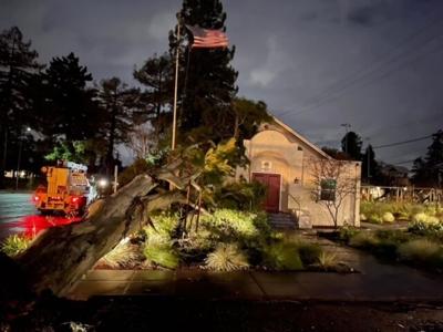 Lions Club hall tree
