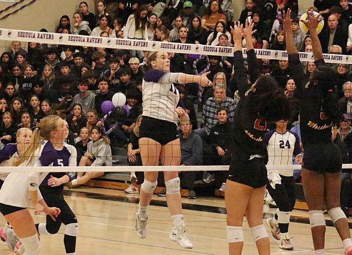 Sequoia volleyball: Samantha McMurtry