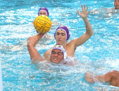 M-A polo: Navid Riahi