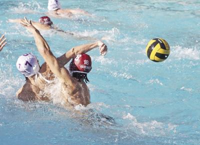 Sequoia polo: Chris McDonald