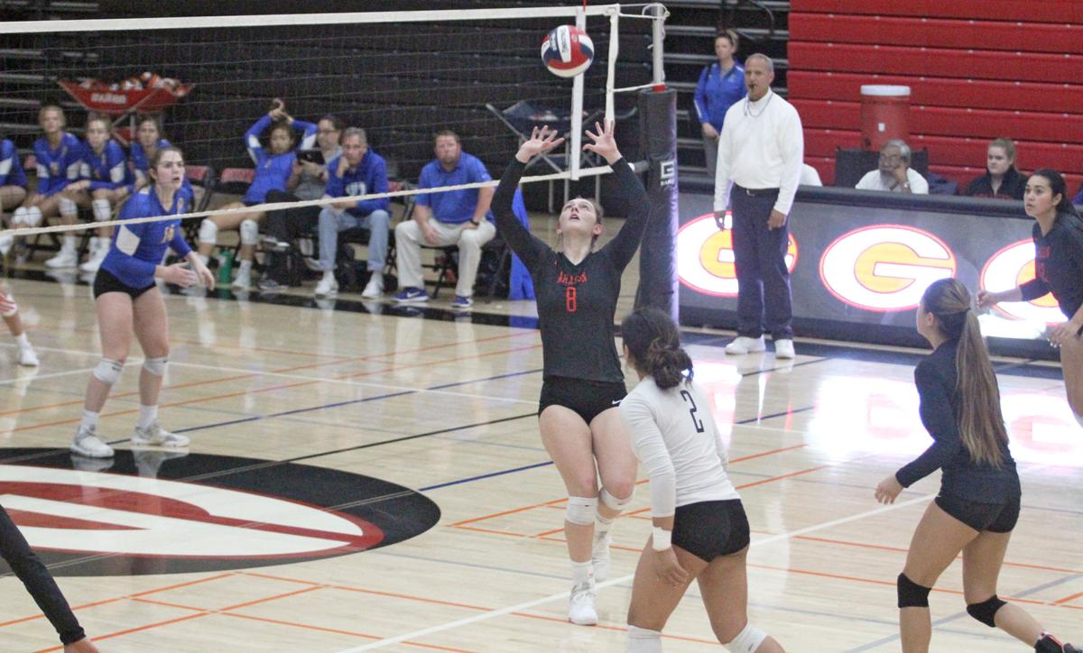 Aragon Volleyball Setting Sights High Local Smdailyjournal Com