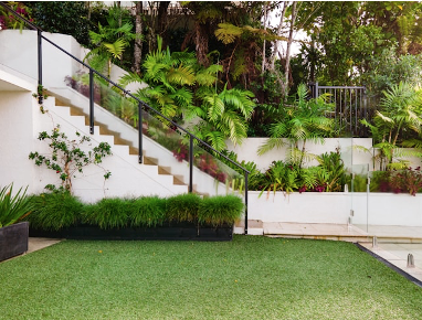 san mateo backyard.png