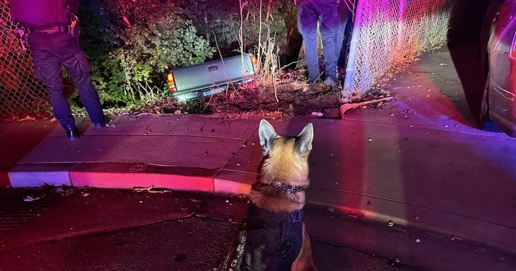 Suspect in San Mateo car chase arrested | Local News | smdailyjournal.com