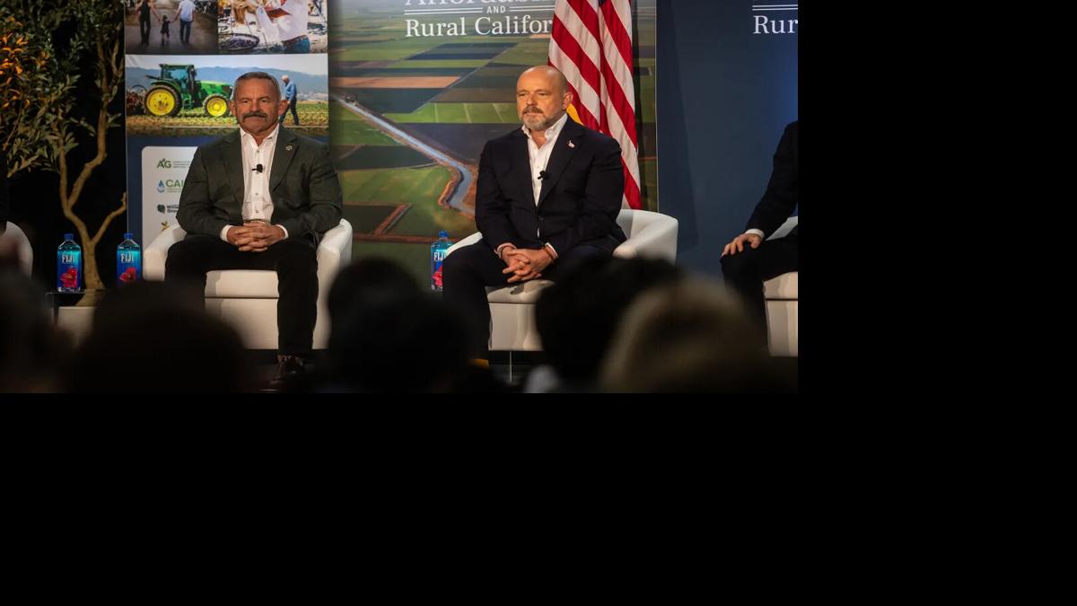 2 Republicans running for California governor: With Democrats splitting votes, a tie could be their best strategy