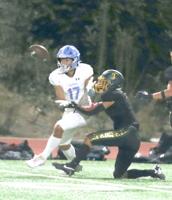 Week 11 local football previews