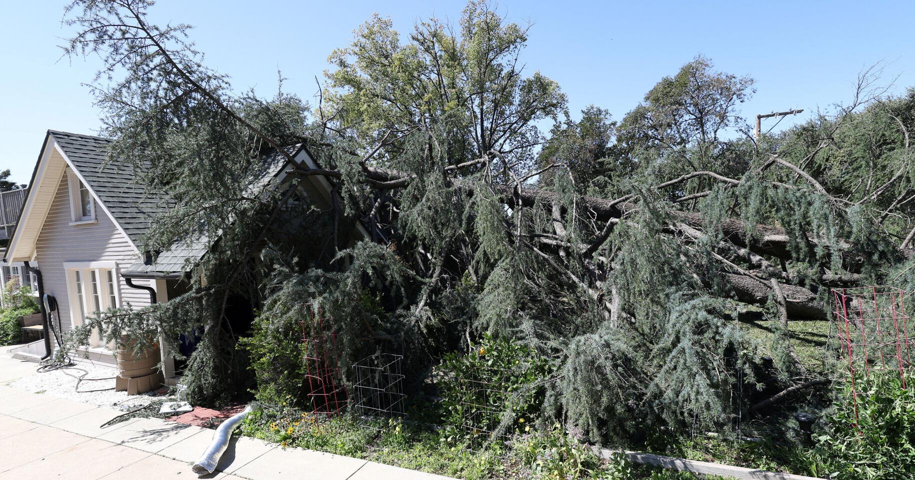 Severe weather roars through several states, spawning potential tornadoes - Vimarsana News