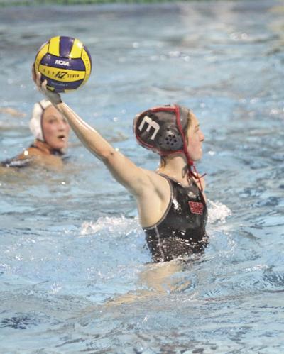 SHP polo: Brandin