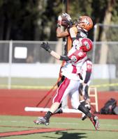 From the Archives: 'Paw'sitively thrilling