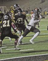 San Mateo takes down Terra Nova