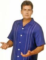 Sheen quiets down some after manic spring